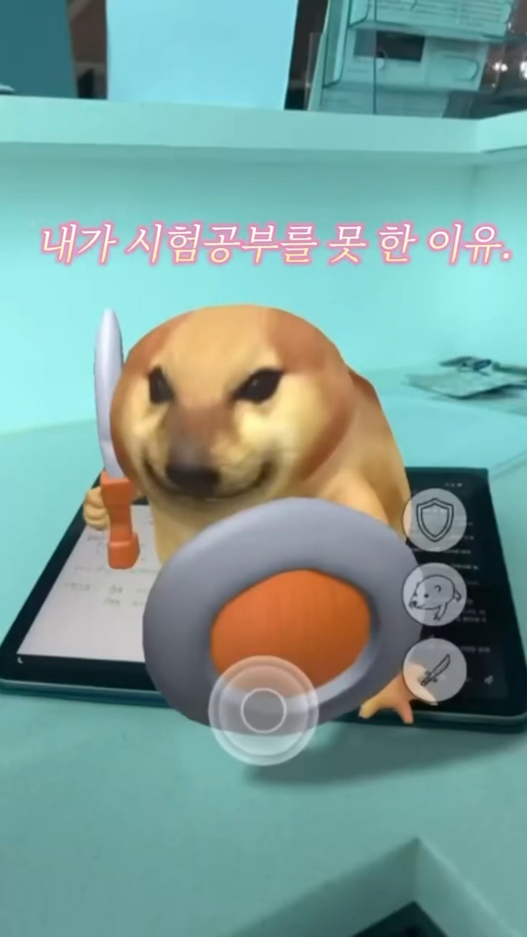 내가 시험공부를 못 한 이유...ㅎ🐶📚#공부하려고 했는데 #방해꾼 #강아지 등장 #광주대학교 #광주대 #온라인홍보단 #studentlife #collegehumor #assignmentstruggles #studentproblems